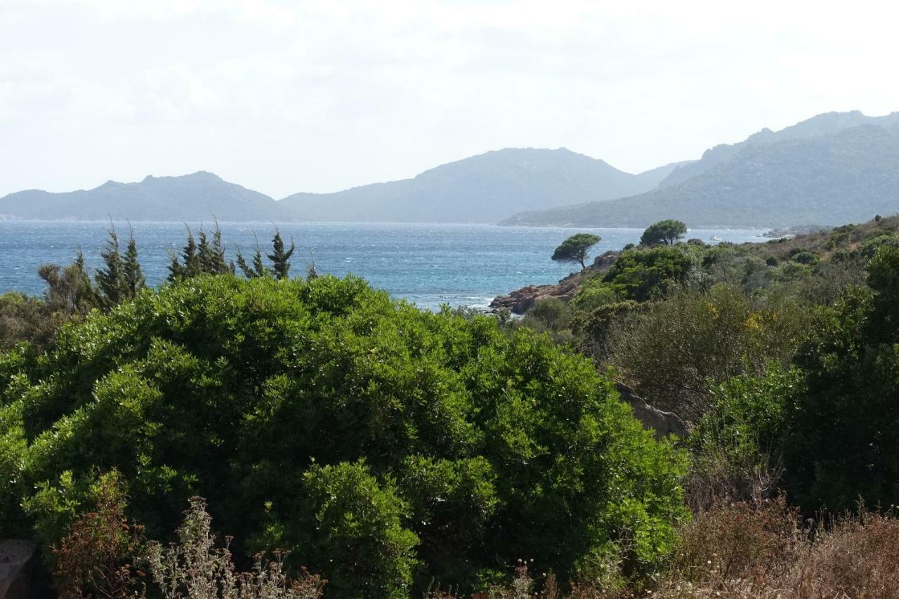 Villa Domaine de la Punta Porto Vecchio Exterior foto
